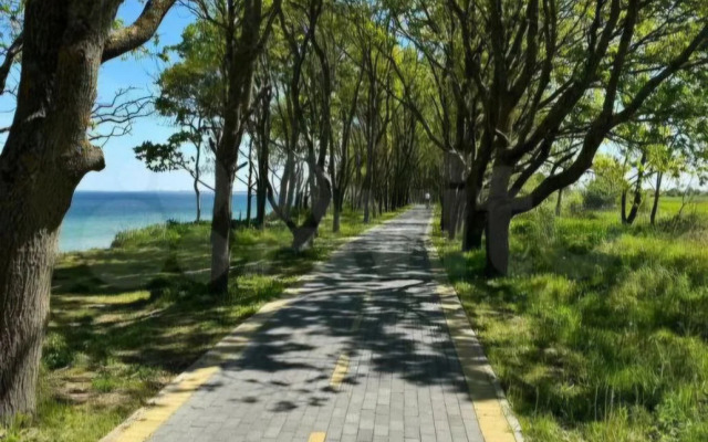 Квартира Пионерский маяк