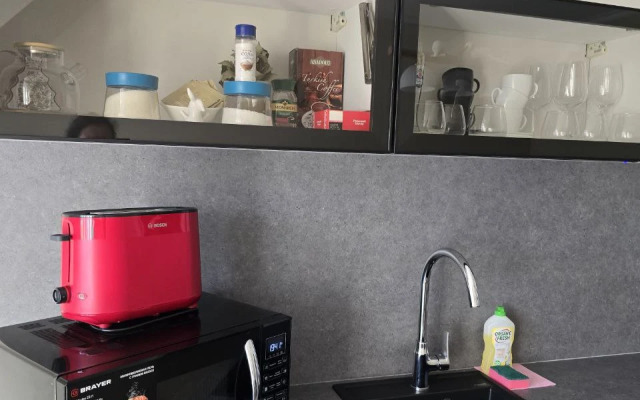 Dvukhyarusnaya Turgeneva 9A Flat