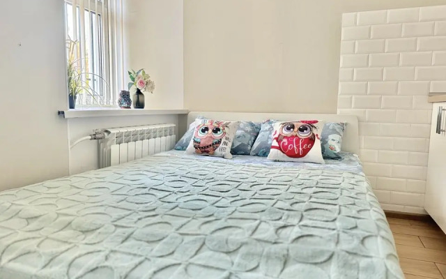 Studiya U Vitebskogo Vokzala Apartments