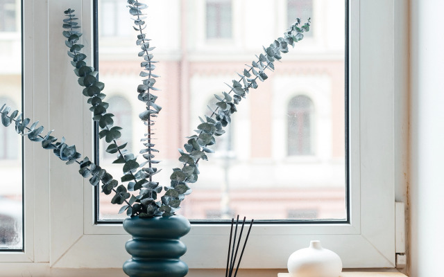 Апартаменты ApartH Deluxe с кухней и видом на Неву