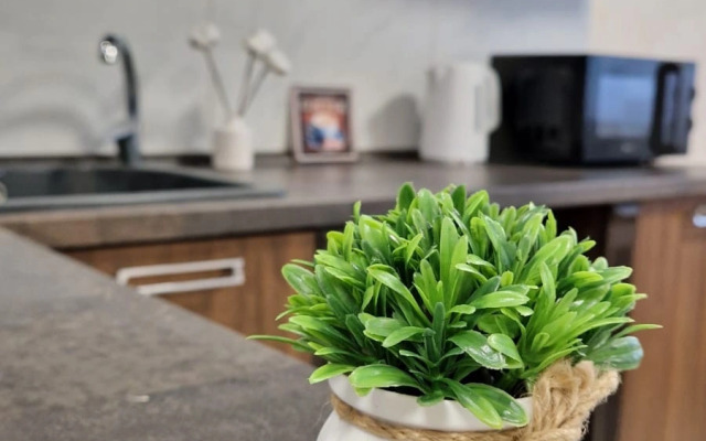 Квартира Родионова 202/2-20