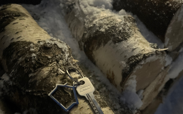 Частный дом  Belov House  с панорамным остеклением у леса