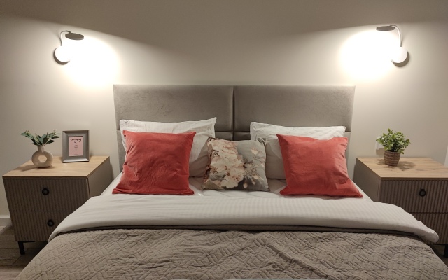 Апартаменты Двухкомнатные стильные у КВЦ Экспофорум ВГостиВПитер