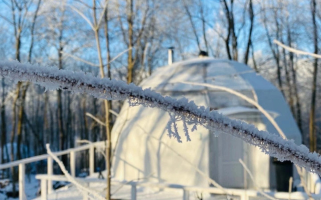 Глэмпинг Клевер