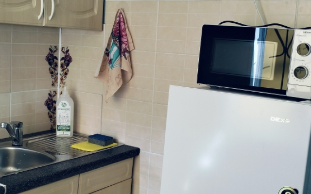 1k Volodarskogo 15 Tsentr Flat