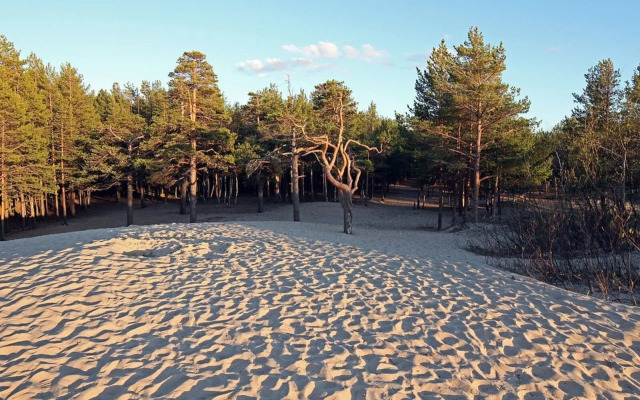 Апартаменты SeveRent на Макаренко 3