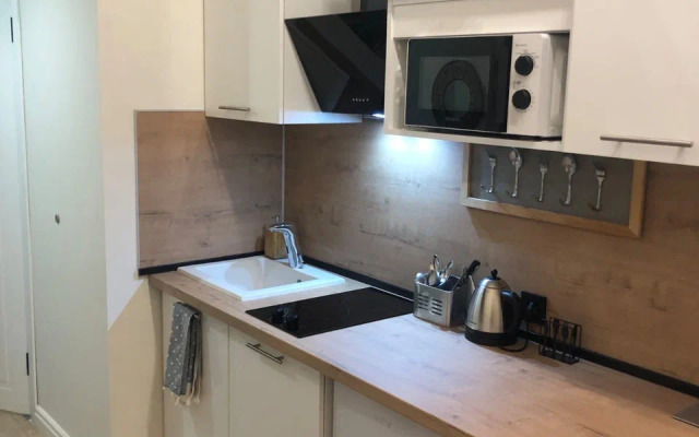 Апартаменты Уютная квартира-студия у метро Зюзино