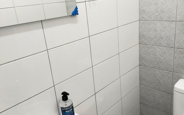 Апартаменты весь первый этаж (100 кв.м.) с 3 спальнями нового городского коттеджа