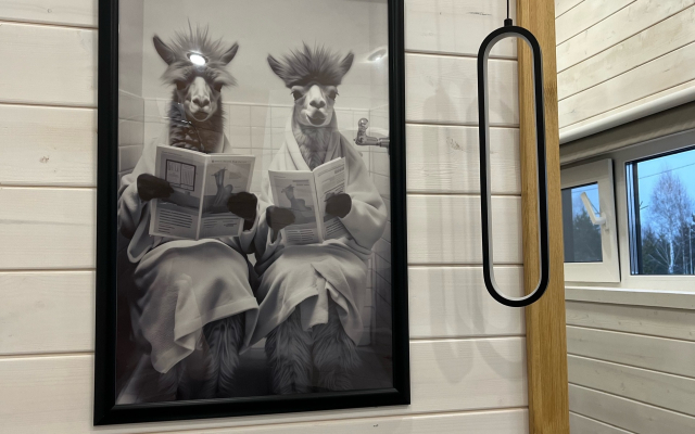 Частный дом Zaгородом