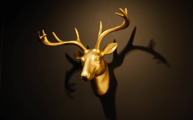 Апартаменты Rauschen Green Lake