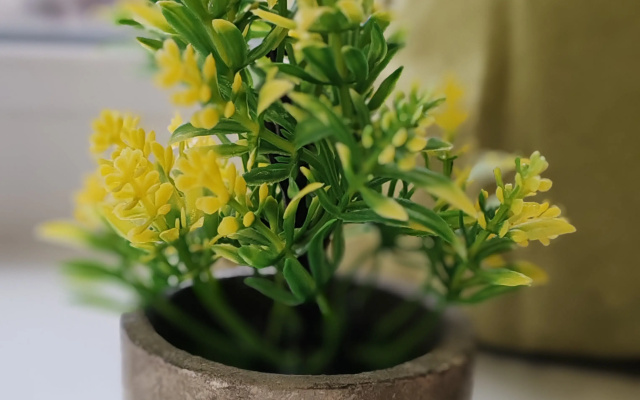 Apartamenty Na Troickom