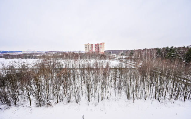 Na Dmitriya Mihajlova 2 (8 Etazh) Apartments