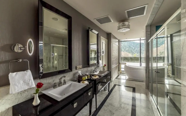 Borjomi Likani Hotel