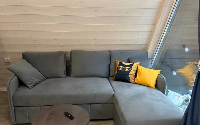 Частный дом Звёзды леса