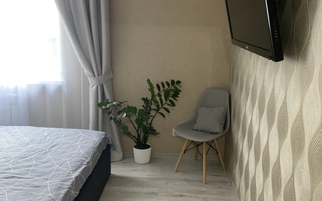 V Tsentre Goroda Flat