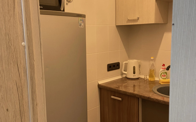 Dlya kompanii v tsentre goroda Apartments