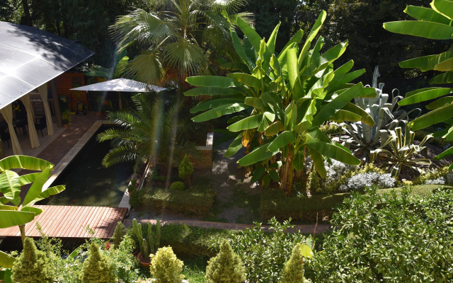 Отель Романов Пальм