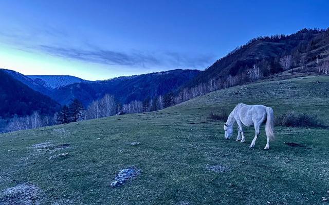Koksa Camp Glamping