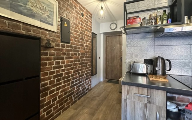 V Tsentre Loft Apartments