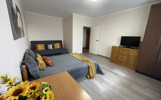 Квартира Апартаменты на Новочеркасский бульвар 27