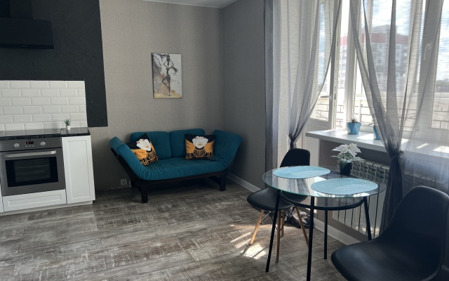 U Tsentralnogo Parka Apartments