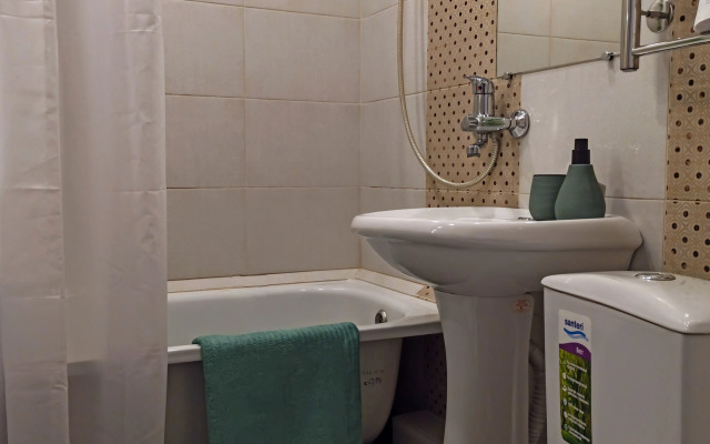V Tsentre U Reki Pskovy Flat