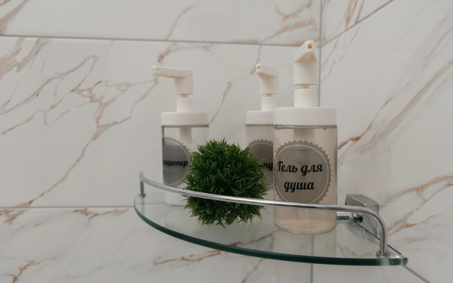 Квартира Студия у моста