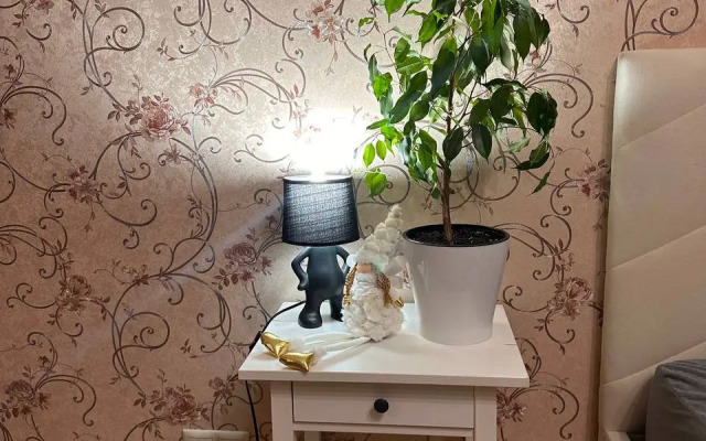 Квартира Двухкомнатная в Центре Рязани