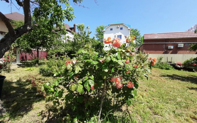 S Basseynom Malika Guest house