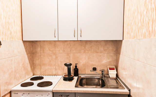 ArendApartment Graf Orlov 33 Flat