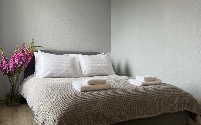 Na Krasnoflotskoy S Vidom Na Zamok Apartments