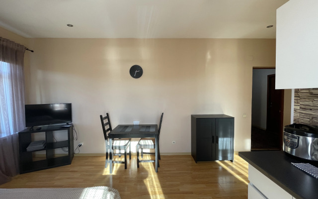 Studiya V Tsentre Goroda U Ploschadi Flat