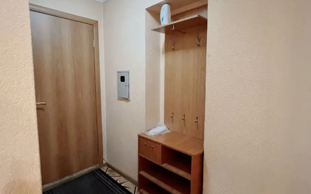 V Samom Tsentre Goroda Alikhanova 10a Flat