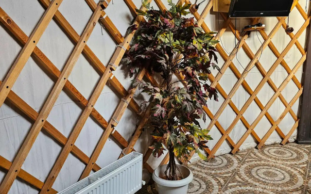 Юрта Yurtkhadzhokh Guest House