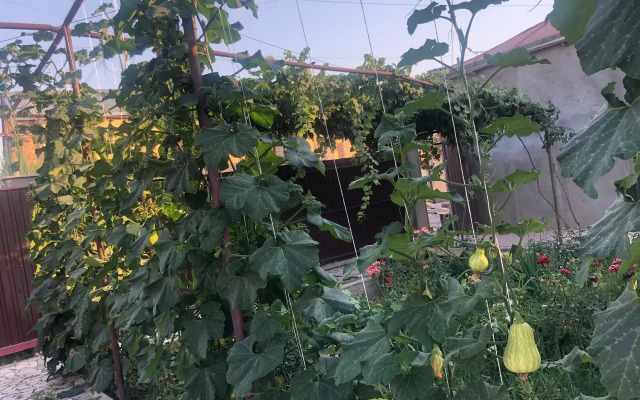 Апарт-отель Veni Vedi