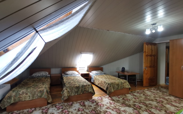 Ellis Hostel