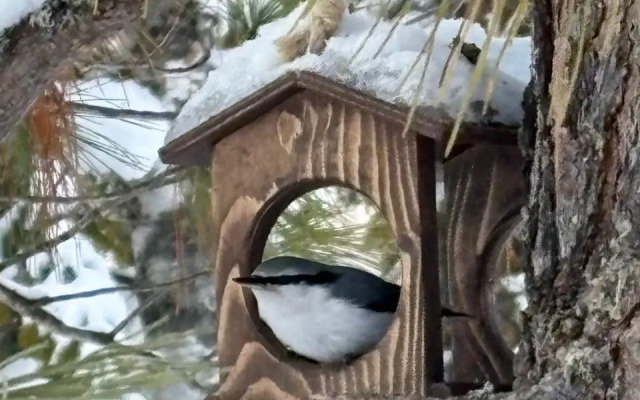 Частный дом Нагорье Шерегеш
