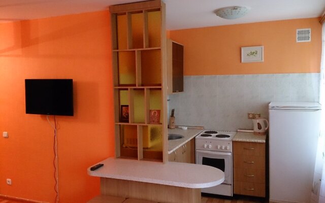 On Day na Chelyuskintsev 14 One-Bedroom Apartments