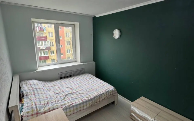 Квартира большая у моря на Русском острове