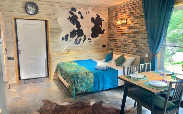 Частный дом у Друзей