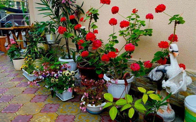 Гостевой дом Самшит