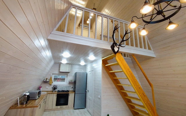 Частный дом Ёлки-Иголки