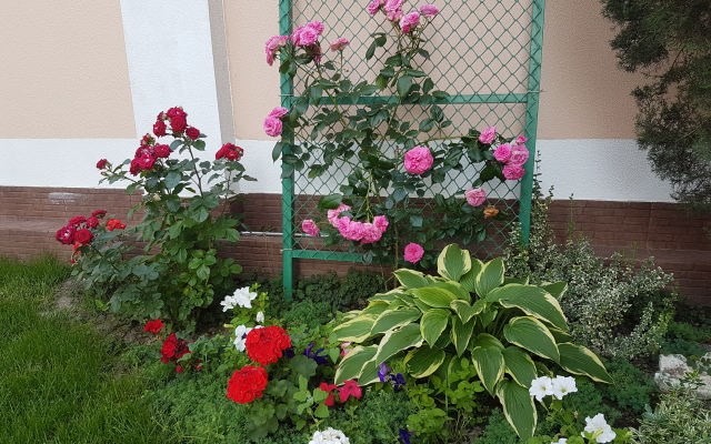 Гостевой дом Русь Геленджик