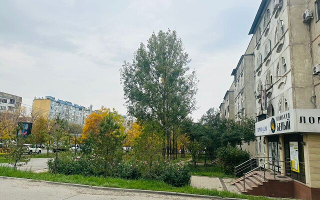 V Mikrorayone Mamyr 1 Flat