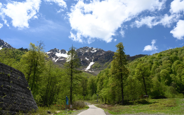 Endemik Glamping