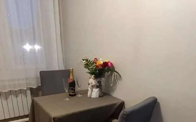 Dvukhkomnatnaya kvartira v tsentre Flat