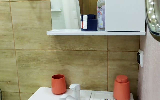 Centr Repina Street Flat