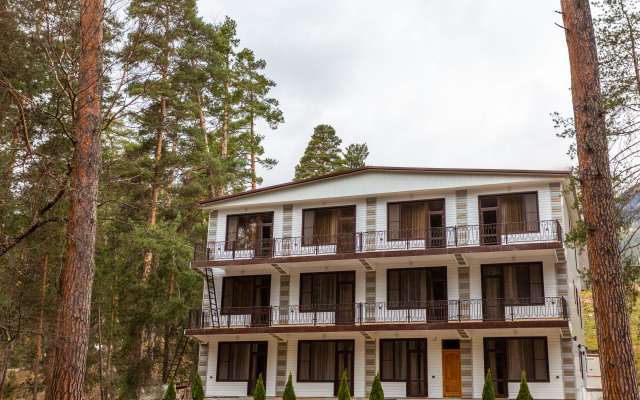 Sneginy Hotel