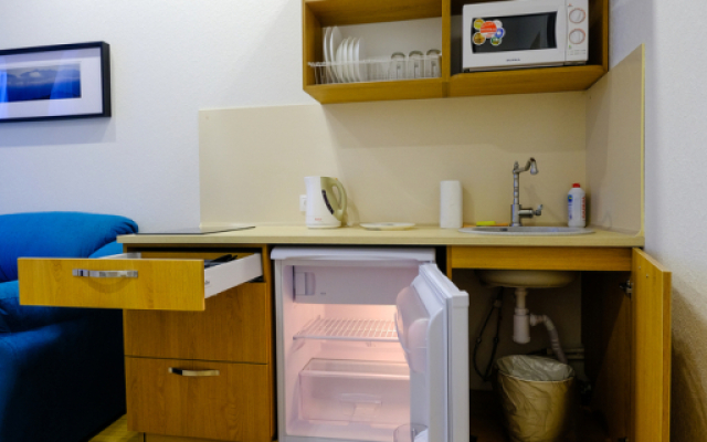 Апартаменты Петровские на Советской 90 (4)