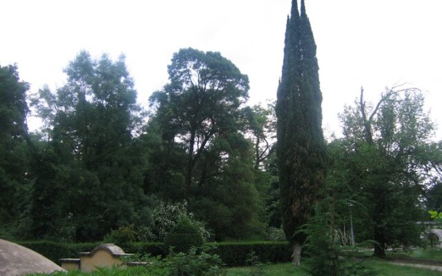 Chinar Hotel